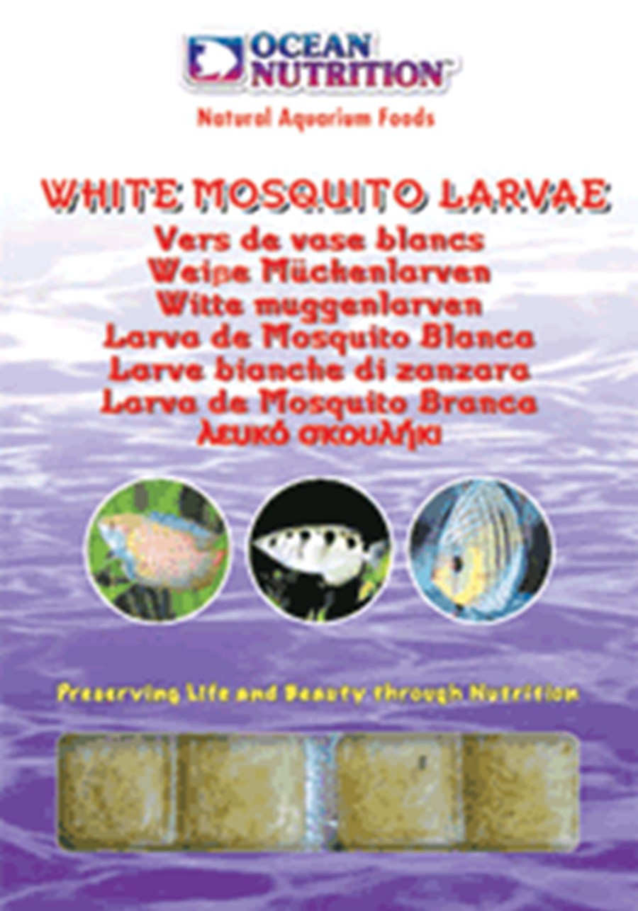 Glassworms / White Mosquito Larvae