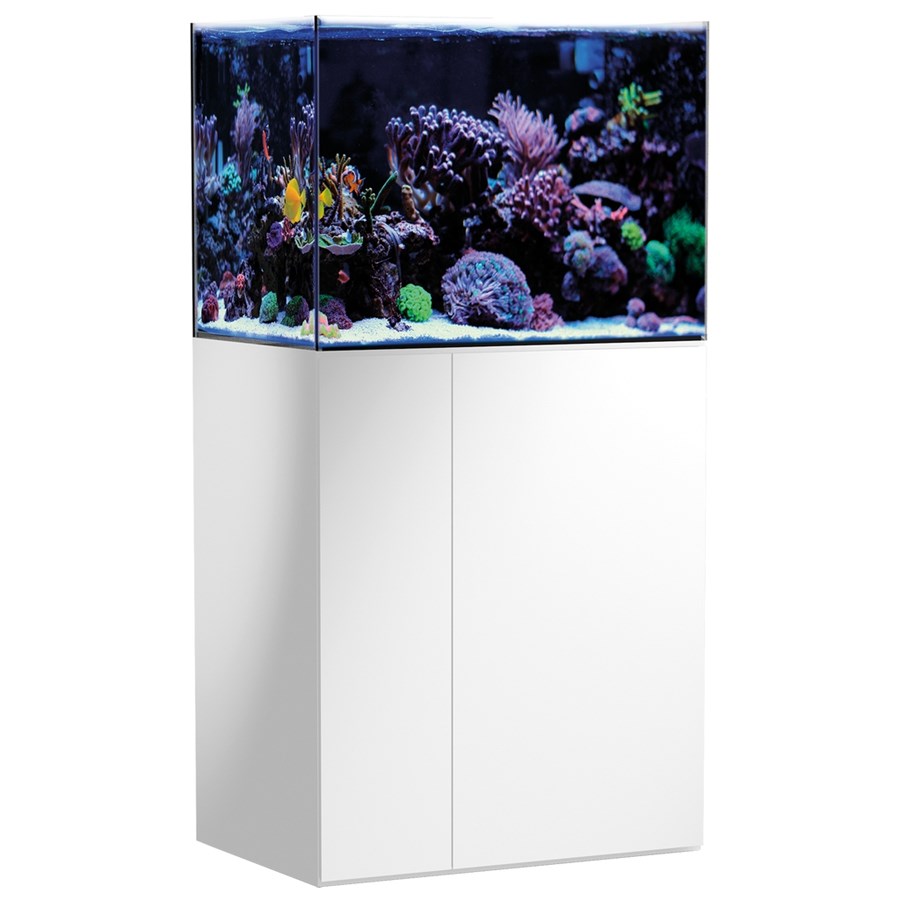 Armatus 250 blanc