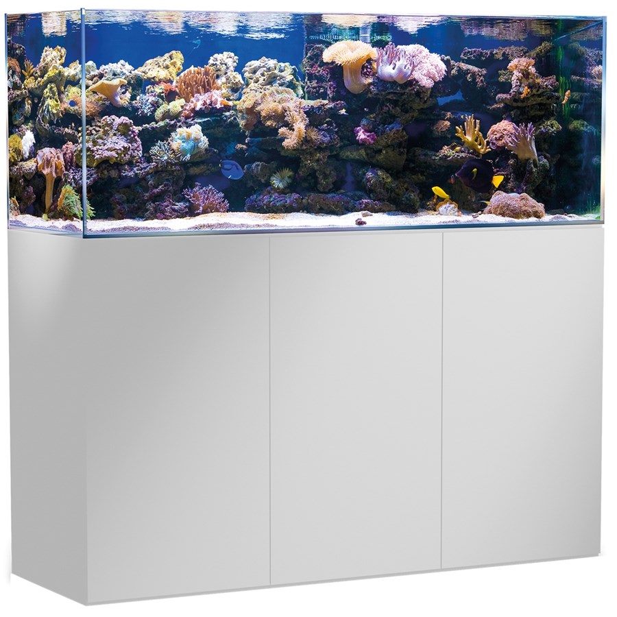 Armatus 450 white