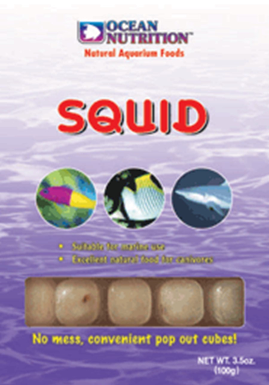 Squid  100g