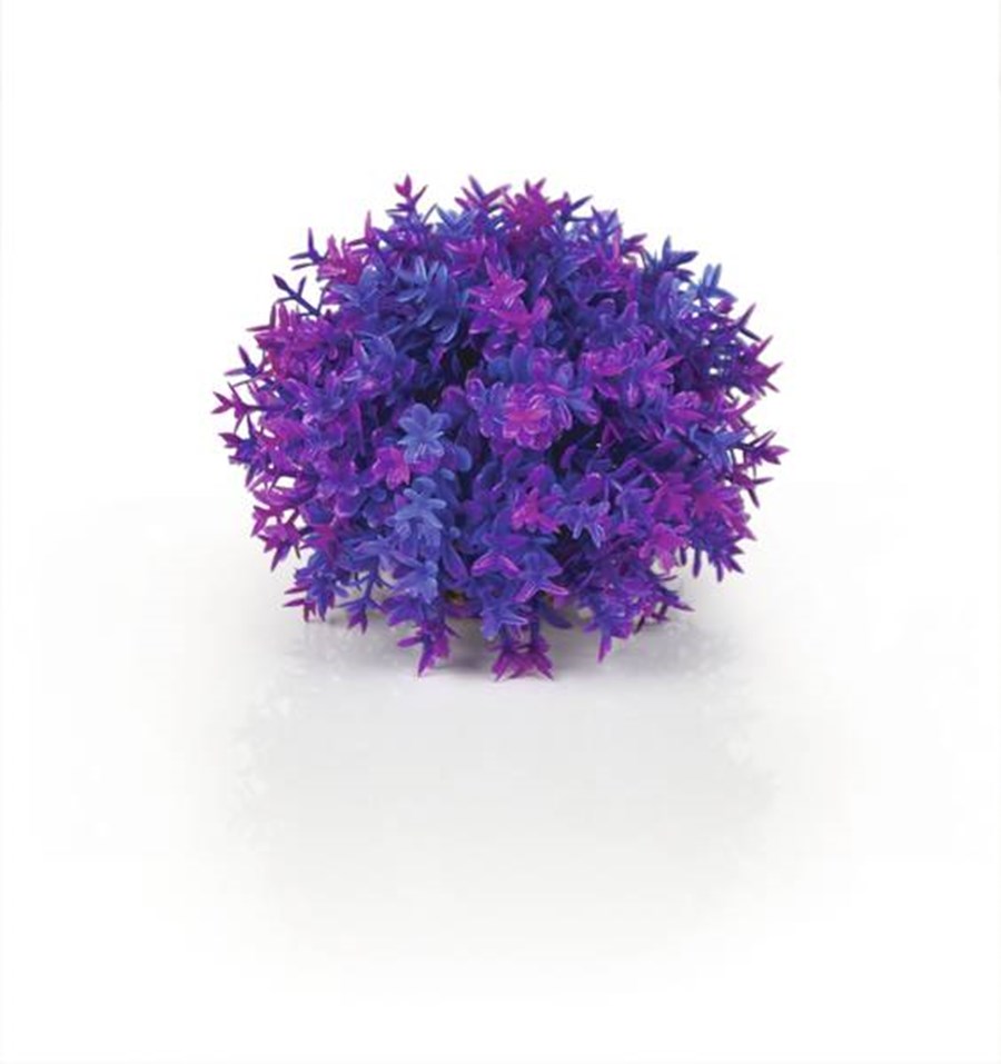 biOrb Boule topiaire violette