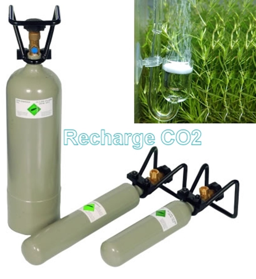 CO2 recharge 2000gr