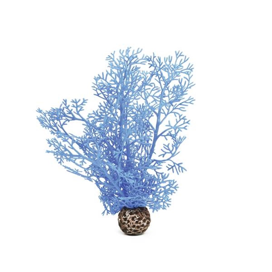 biOrb Petit corail bleu