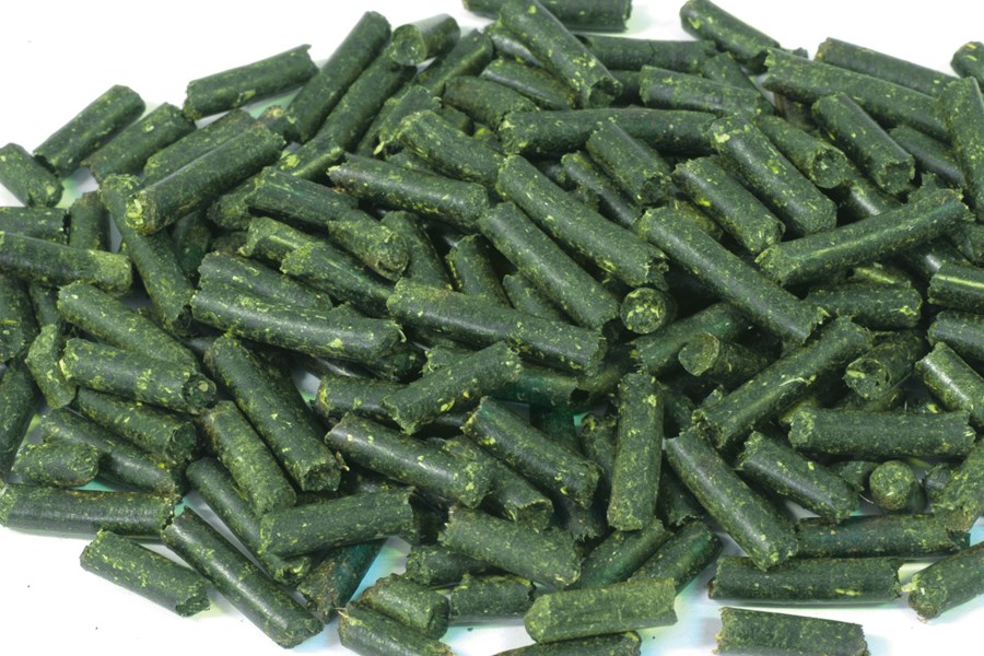 Nano Sticks d'Orties, 30gr