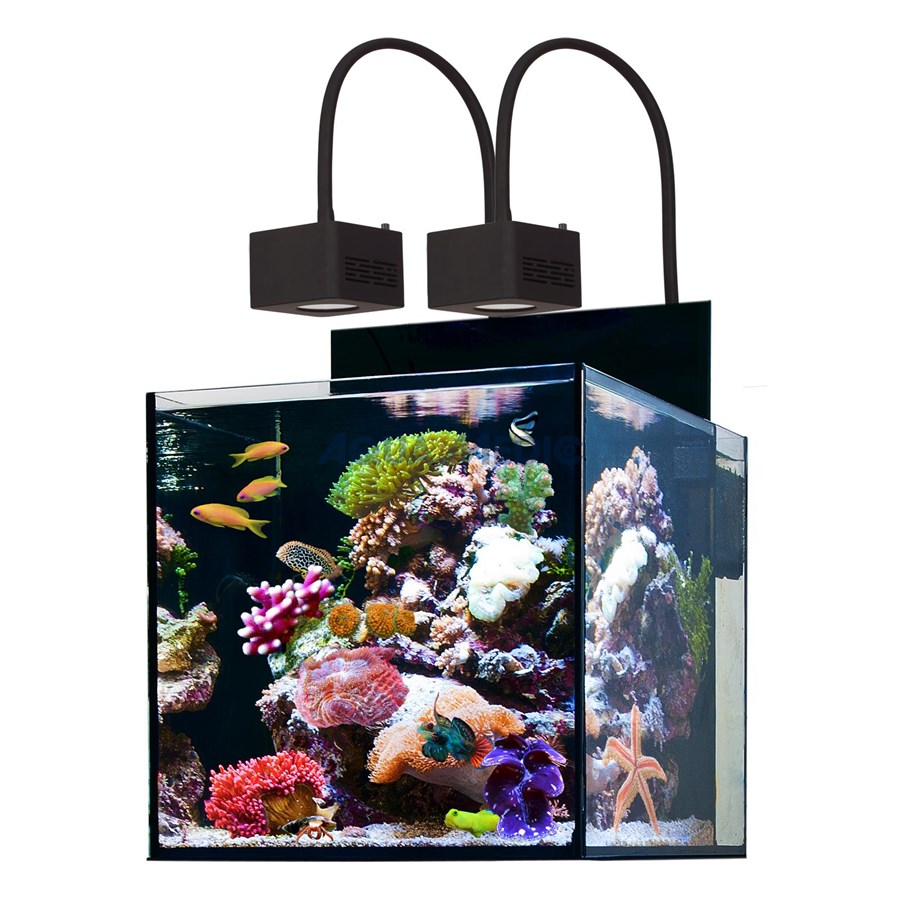 Aquarium marin Aqua-médic Cubicus Qube