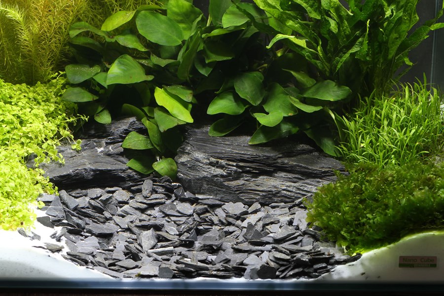 Natural Gravel Kongo, 10 - 30 mm, 5 kg