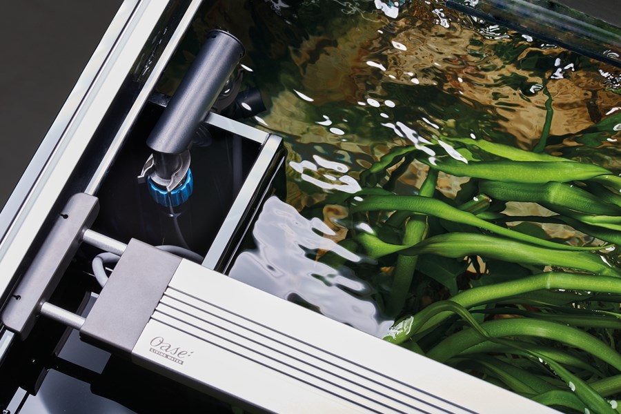 Aquarium Oase HighLine séparateur pièces Ow. 300 Chêne