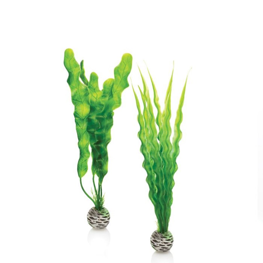 biOrb Set de plantes M vertes