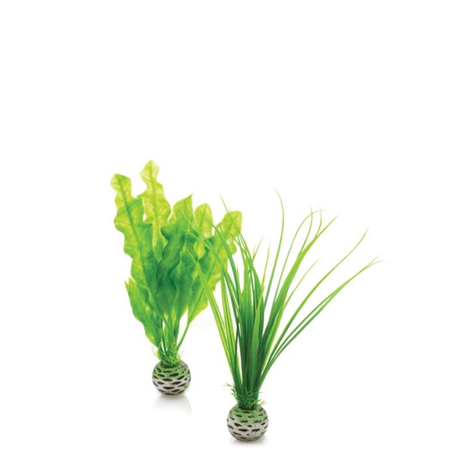 biOrb Petit Set de plantes vertes
