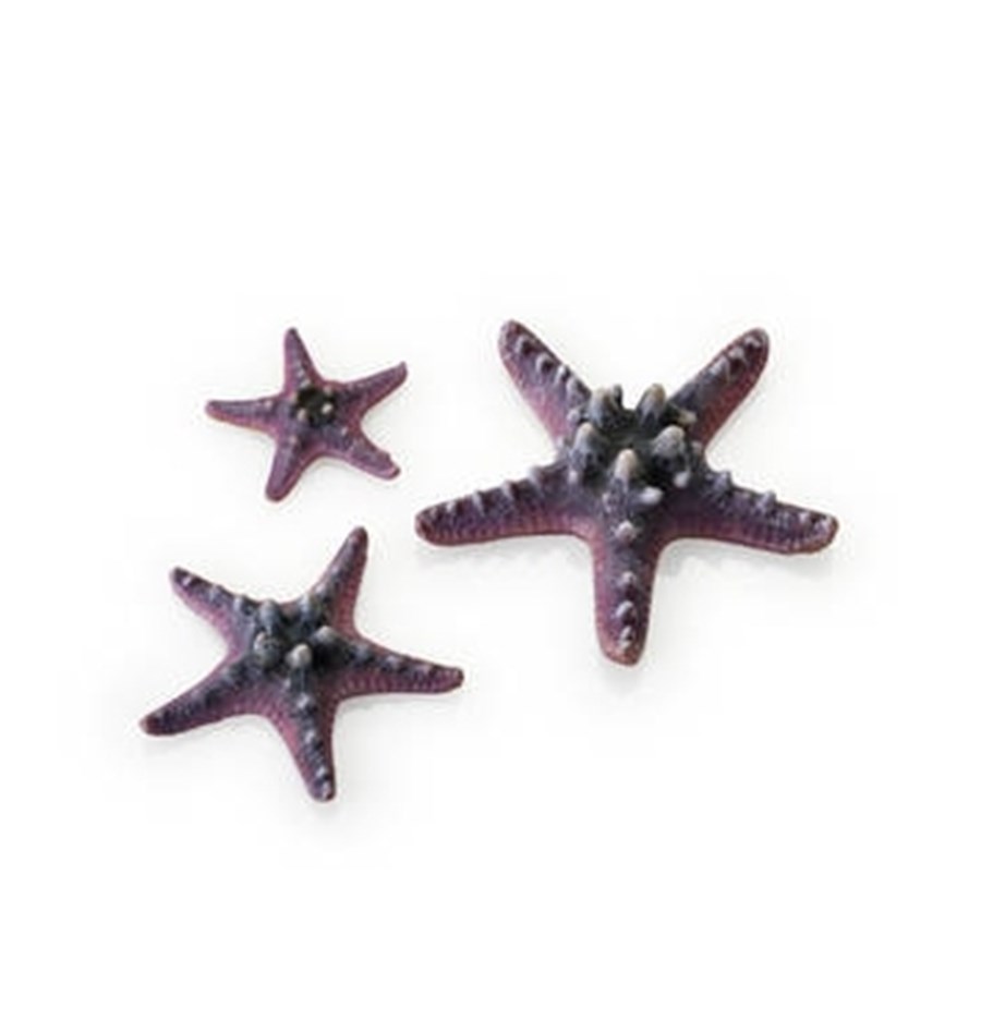 biOrb Set de 3 étoiles de mer roses