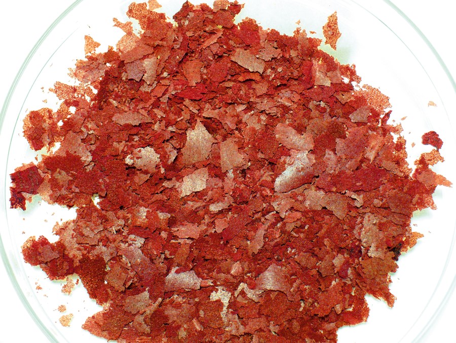 Complete Gourmet Flakes en boîte 200 ml