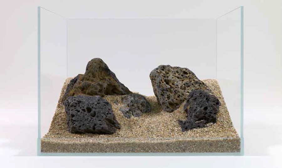 Galapagos Rocks, M, 2.3-2.7kg - la pièce