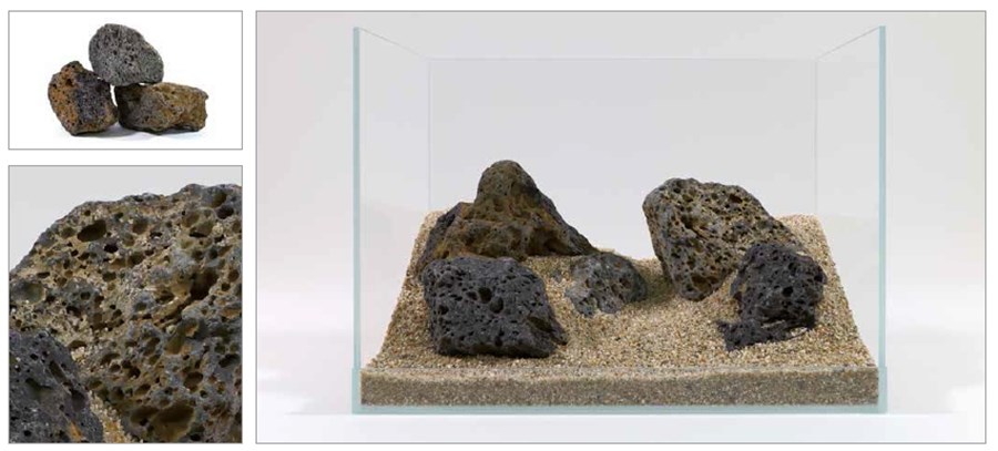 Galapagos Rocks, S, 0,8-1.2kg - la pièce