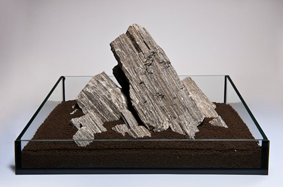 PIERRE Glimmer Wood Rock - la pièce