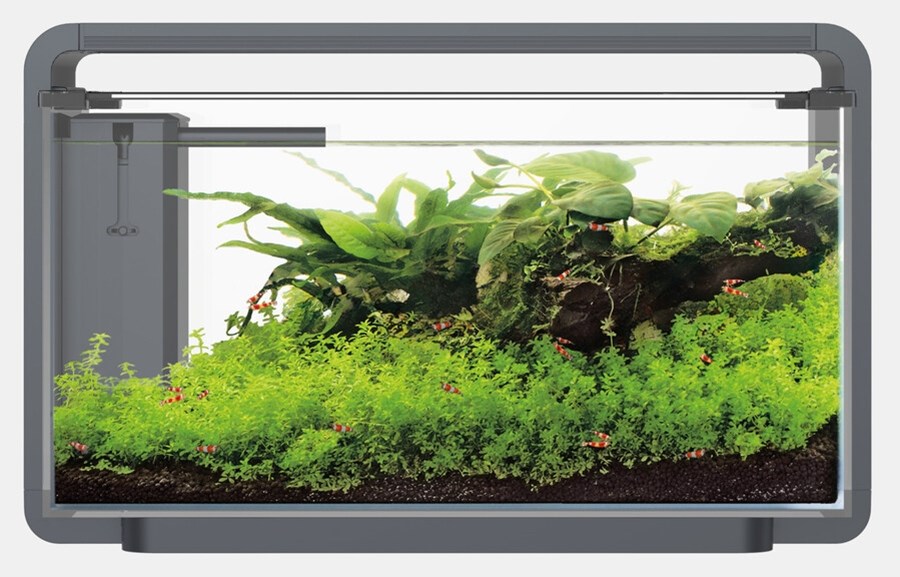 SF HOME PROLED 30 AQUARIUM NOIR