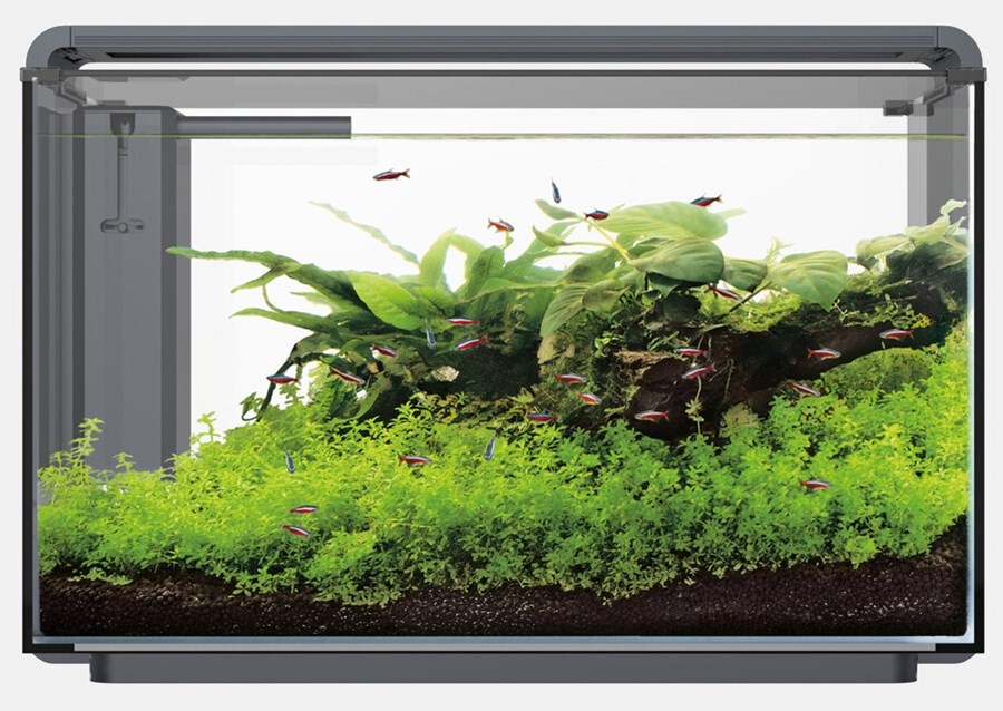 SF HOME PROLED 85 AQUARIUM NOIR