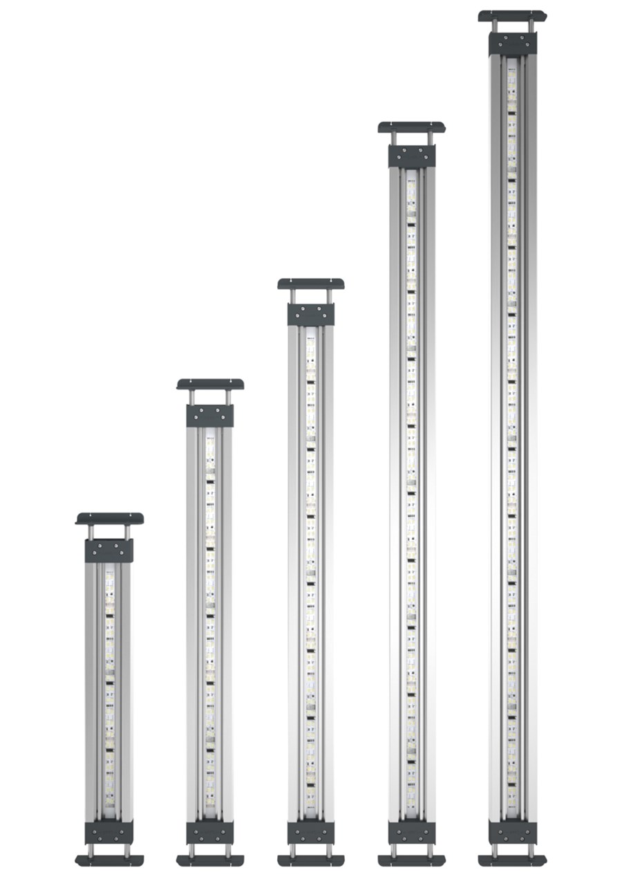 HighLine 300 Premium LED Set
