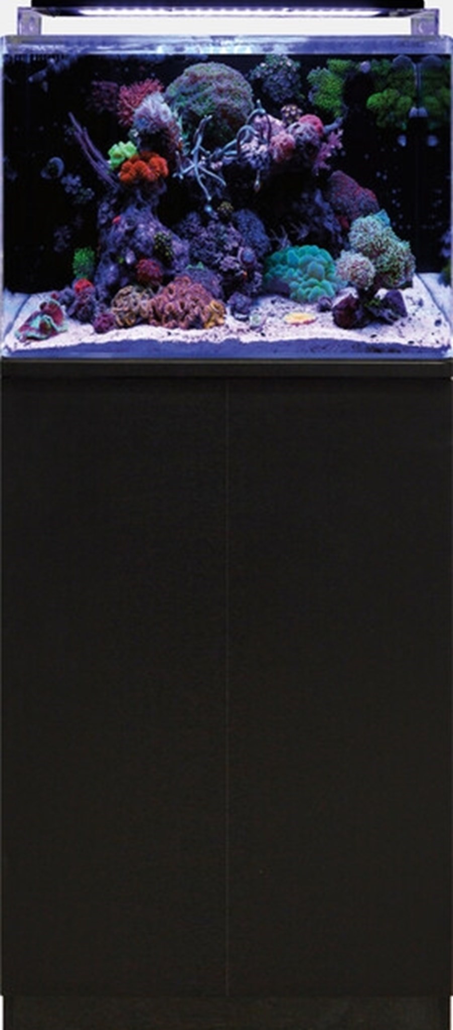 BLUE MARINE  REEF 120 AQUARIUM