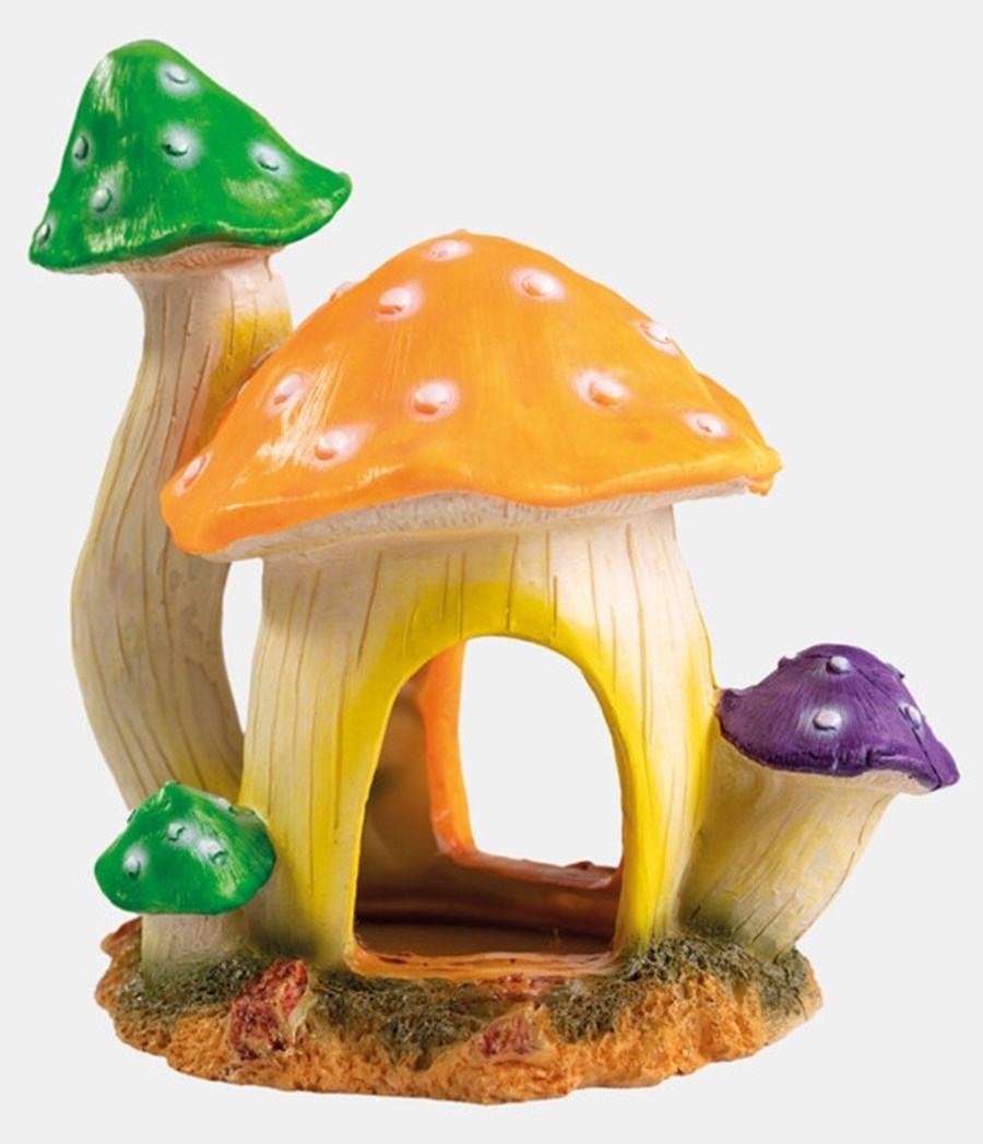 SF Mushroom house L