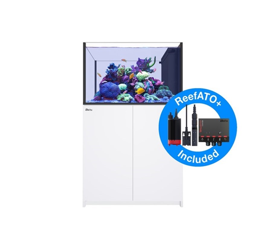 Reefer MAX Peninsula 350 G2+ Blanc