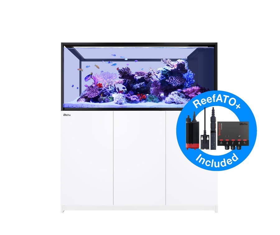 Reefer MAX Peninsula S-700 G2+ Blanc