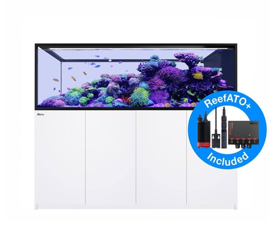Reefer MAX Peninsula S-950 G2+ Blanc