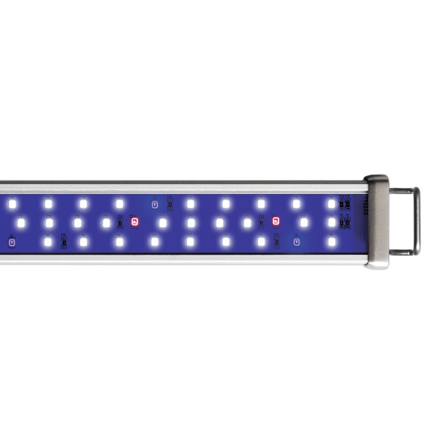 Proten LED bar REEF BLUE 450 - 600mm 15W