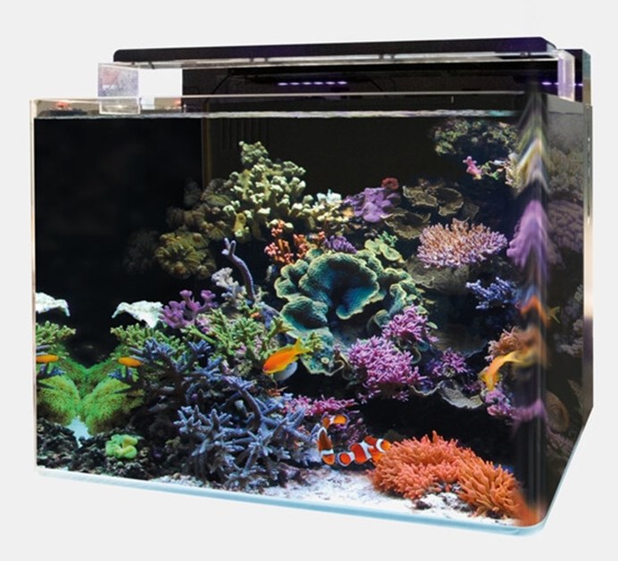 Refroidisseur BlueMARINE 200 pour aquarium de 50 à 200 litres (Pompe  offerte avec tuyauterie)