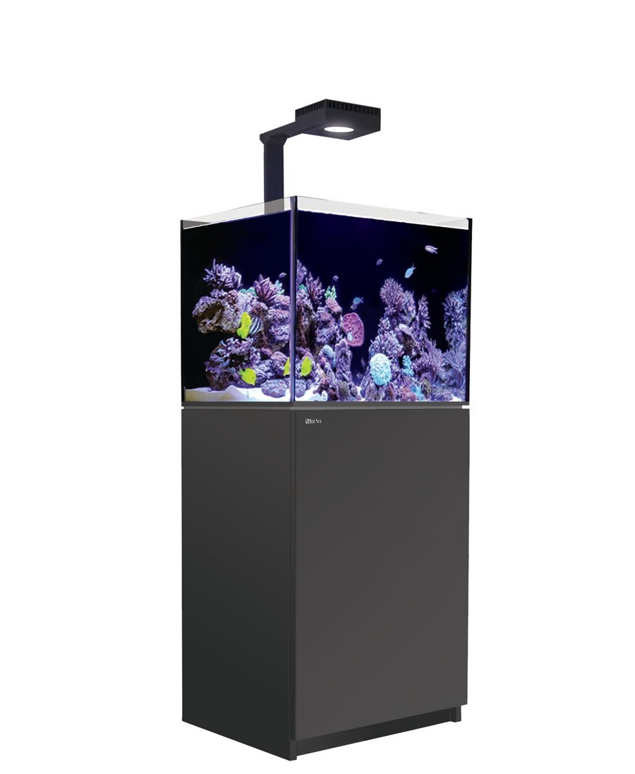Reefer MAX 170 G2+ Noir