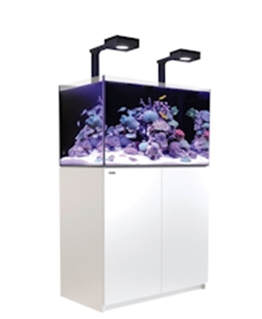 Reefer MAX 250 G2+ Blanc