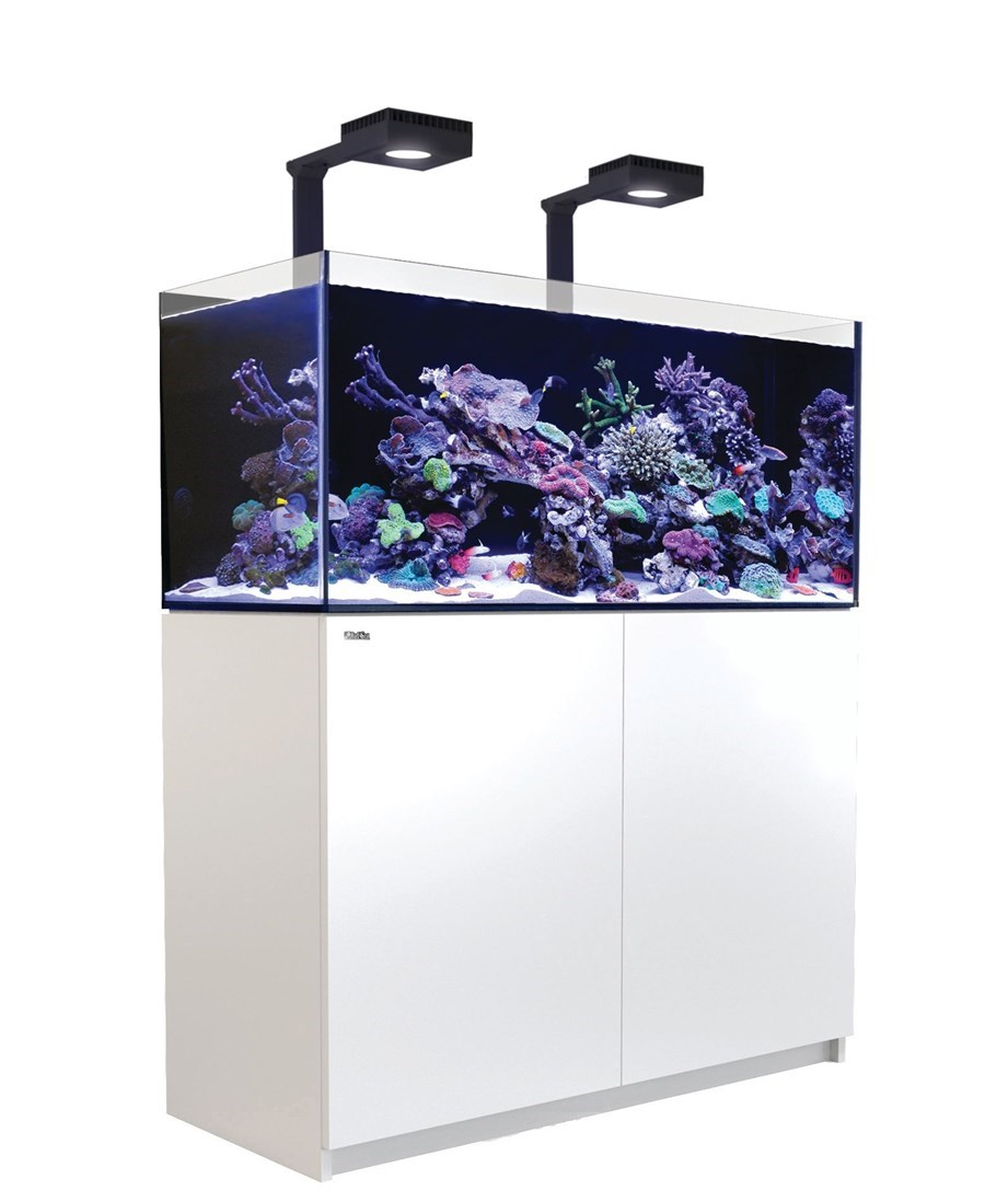 Reefer MAX 350 G2+ Blanc