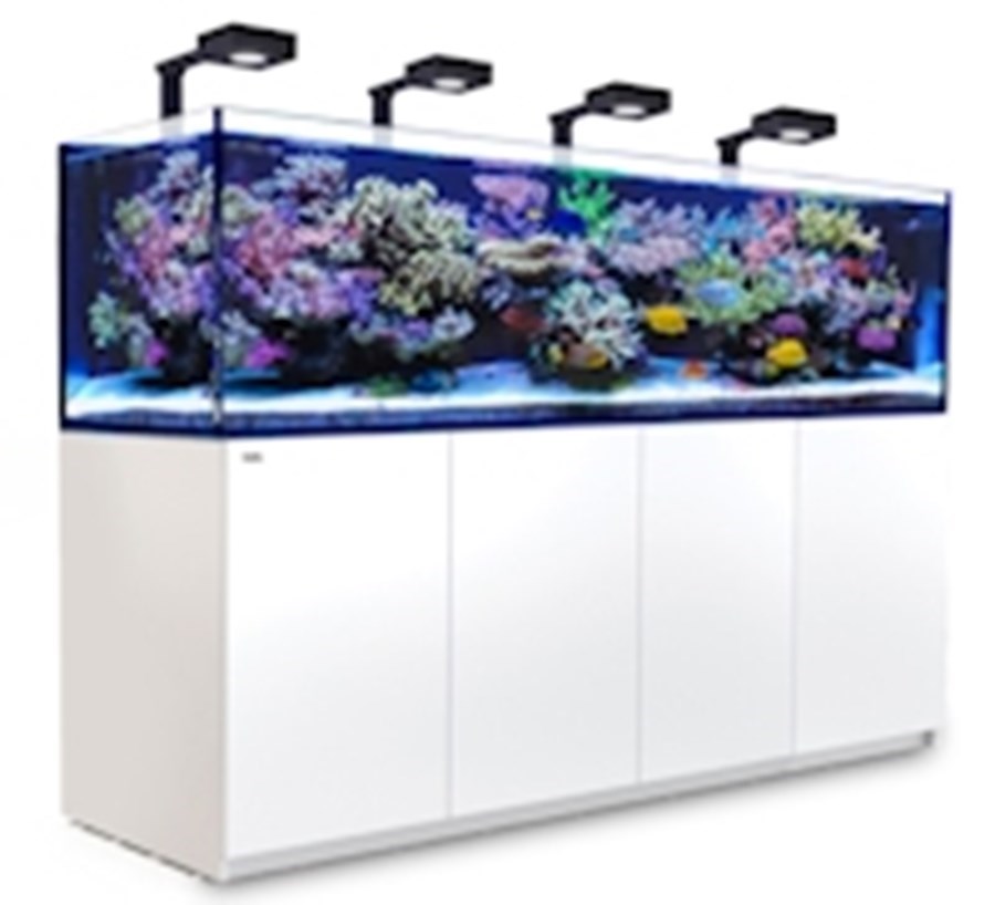 Reefer MAX 900 G2+ Blanc