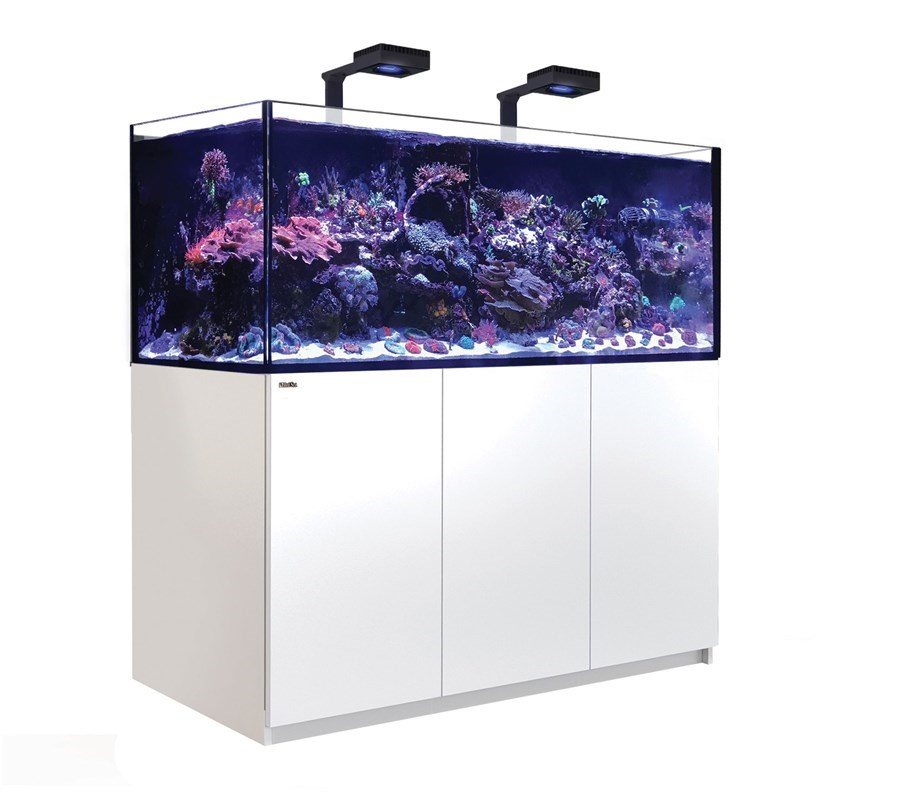 Reefer MAX 625 G2+ Blanc