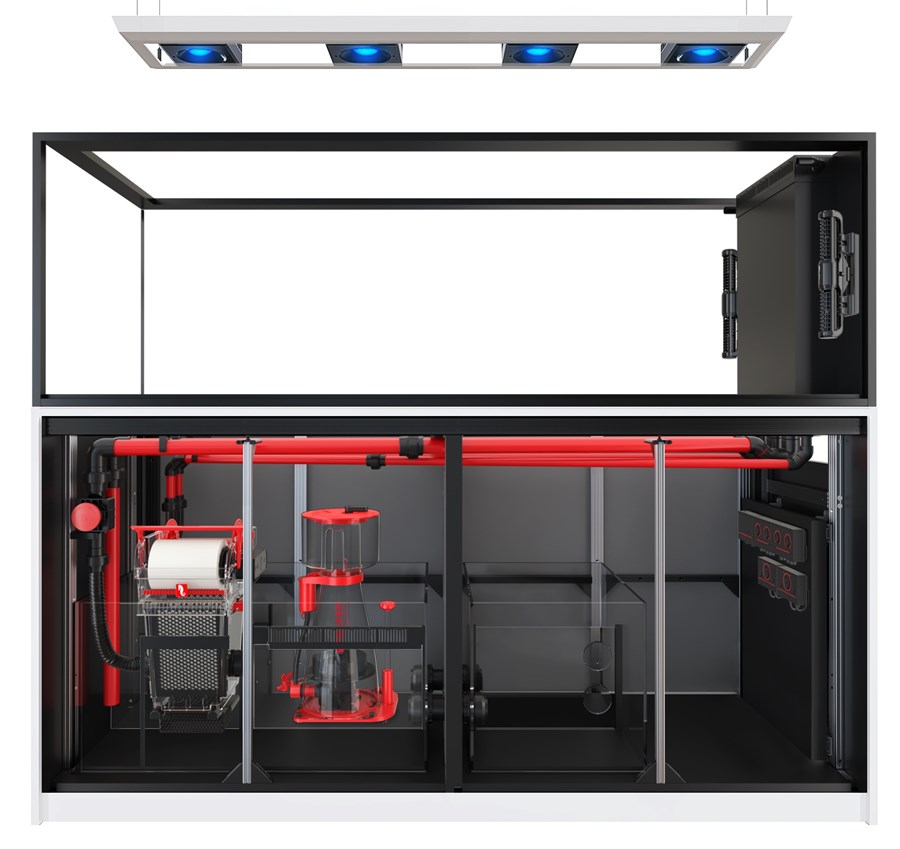 Reefer MAX Peninsula S-950 G2+ Blanc