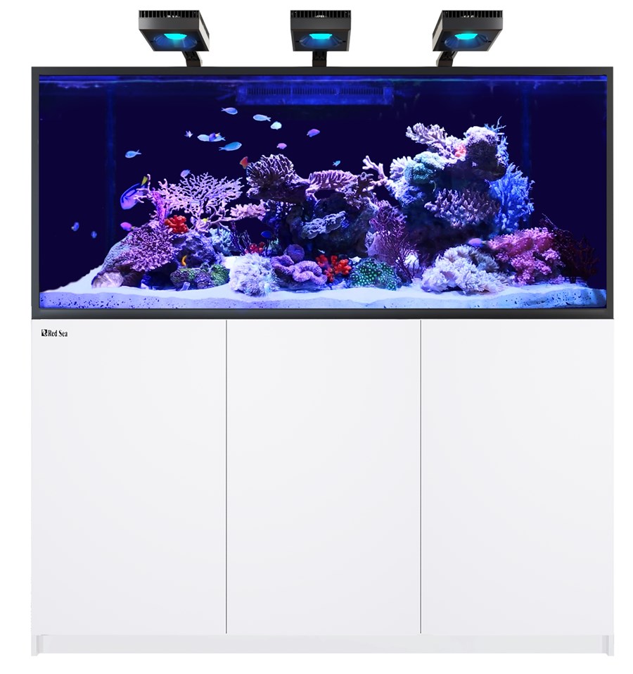Reefer MAX S 700 G2+ Blanc