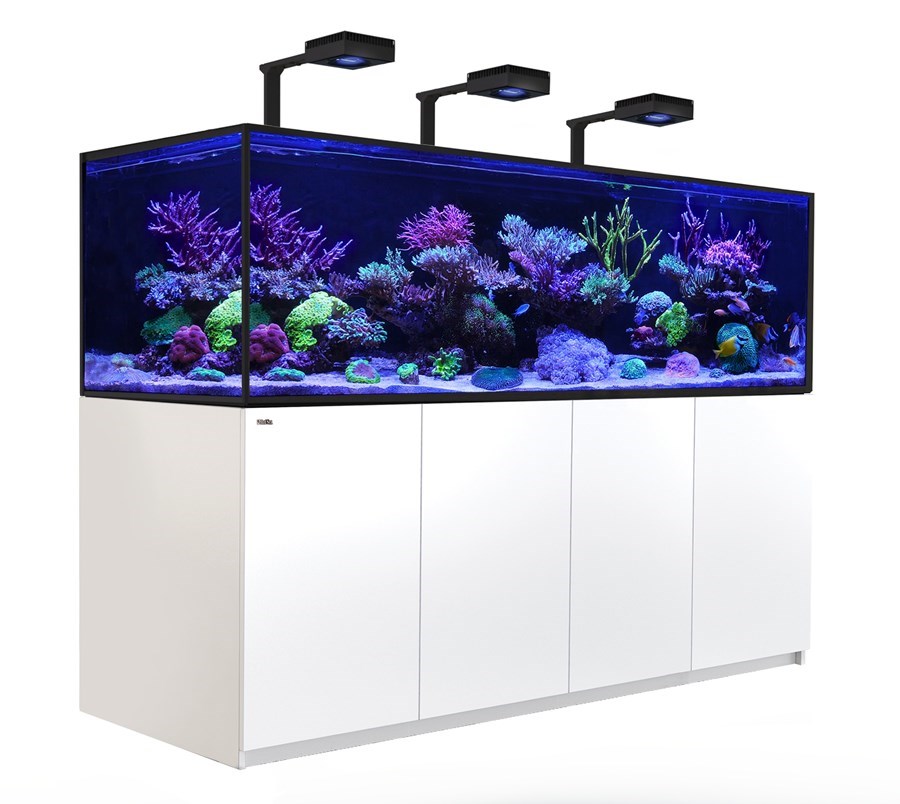 Reefer MAX S 1000 G2+ Blanc