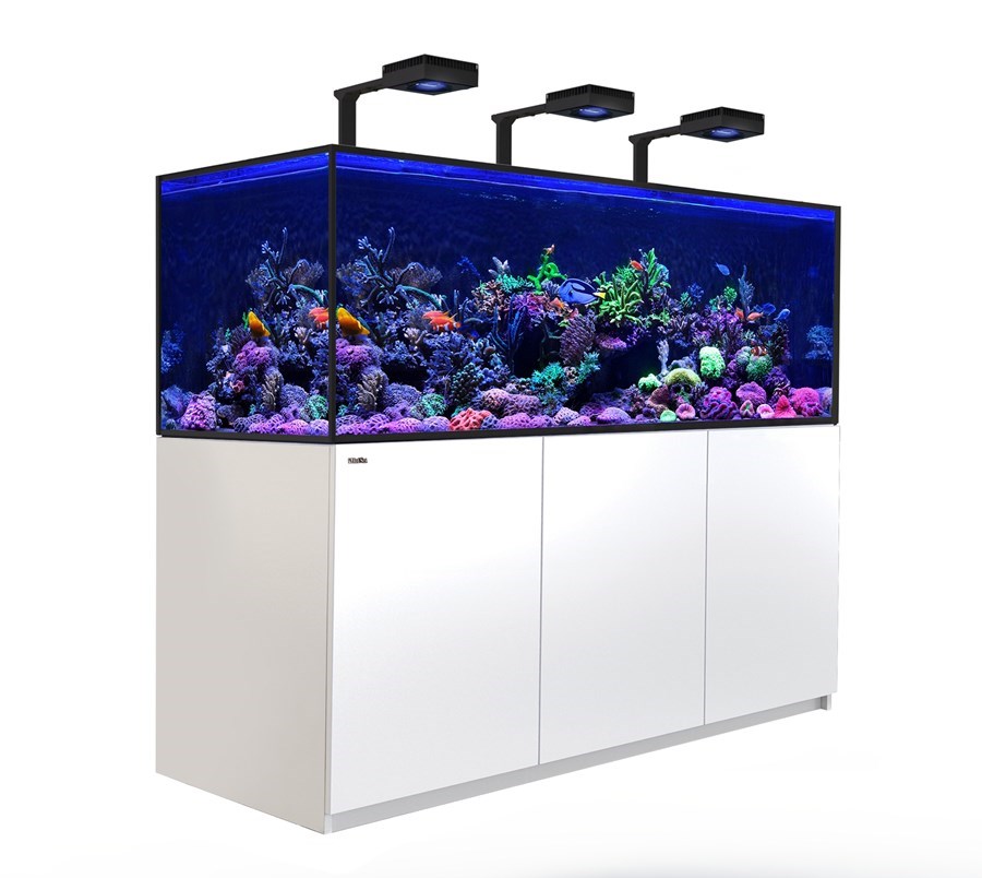 Reefer MAX S 850 G2+ Blanc