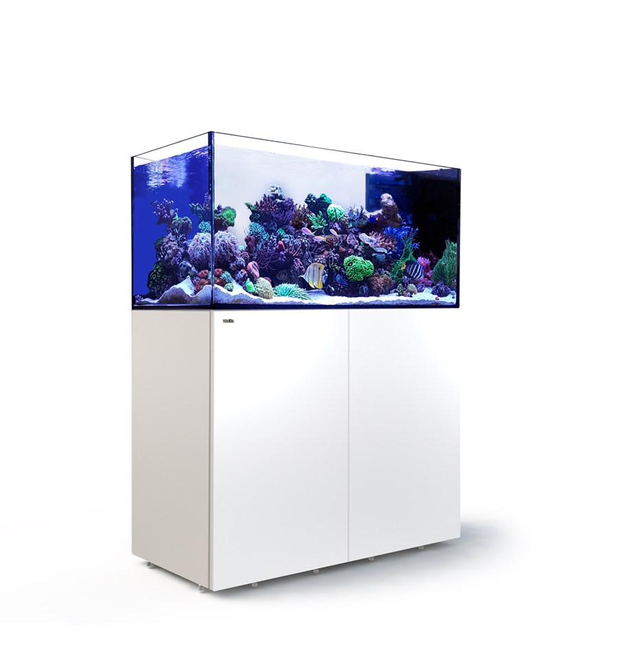 Reefer MAX Peninsula 500 G2+ Blanc