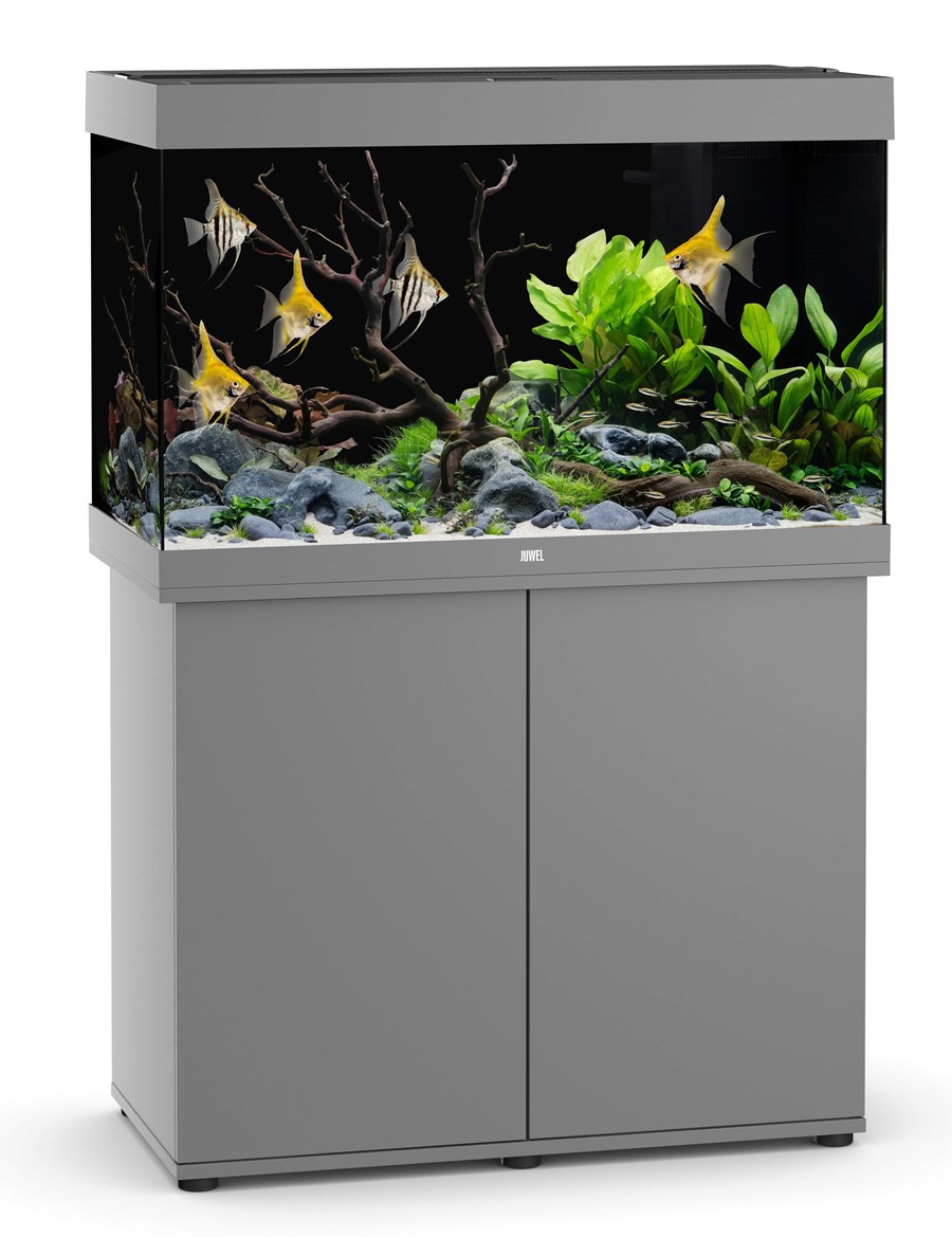 JUWEL RIO 290 LED GRIS