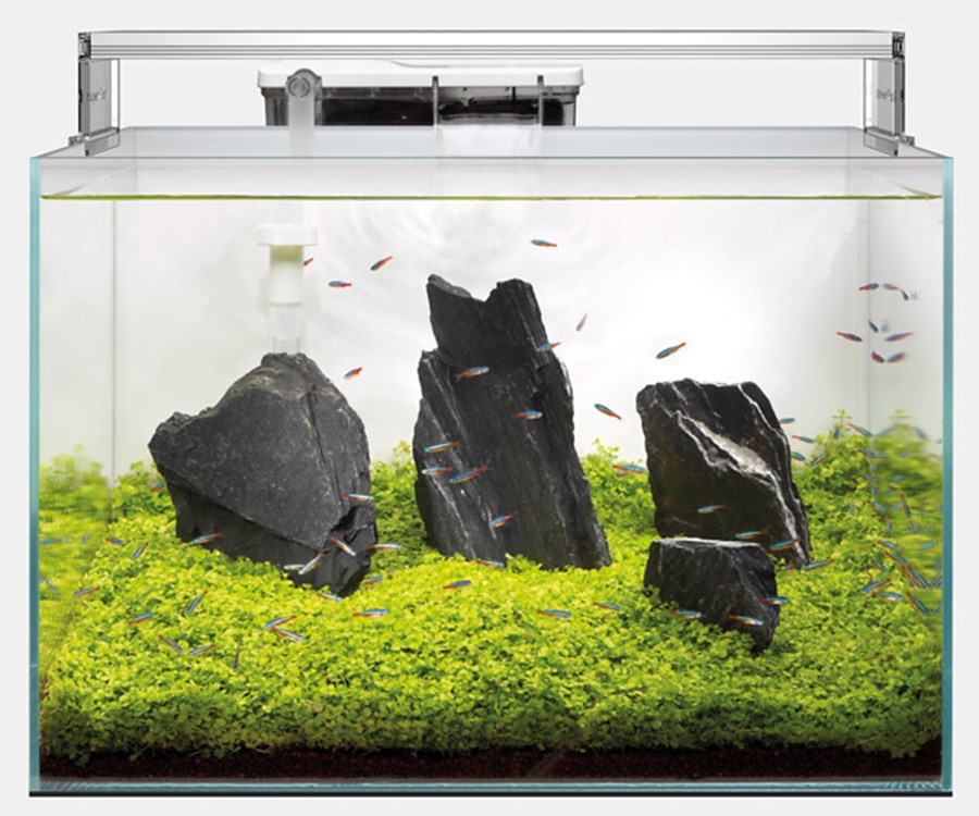 SF SCAPER 45 (complet avec LED et filtration)