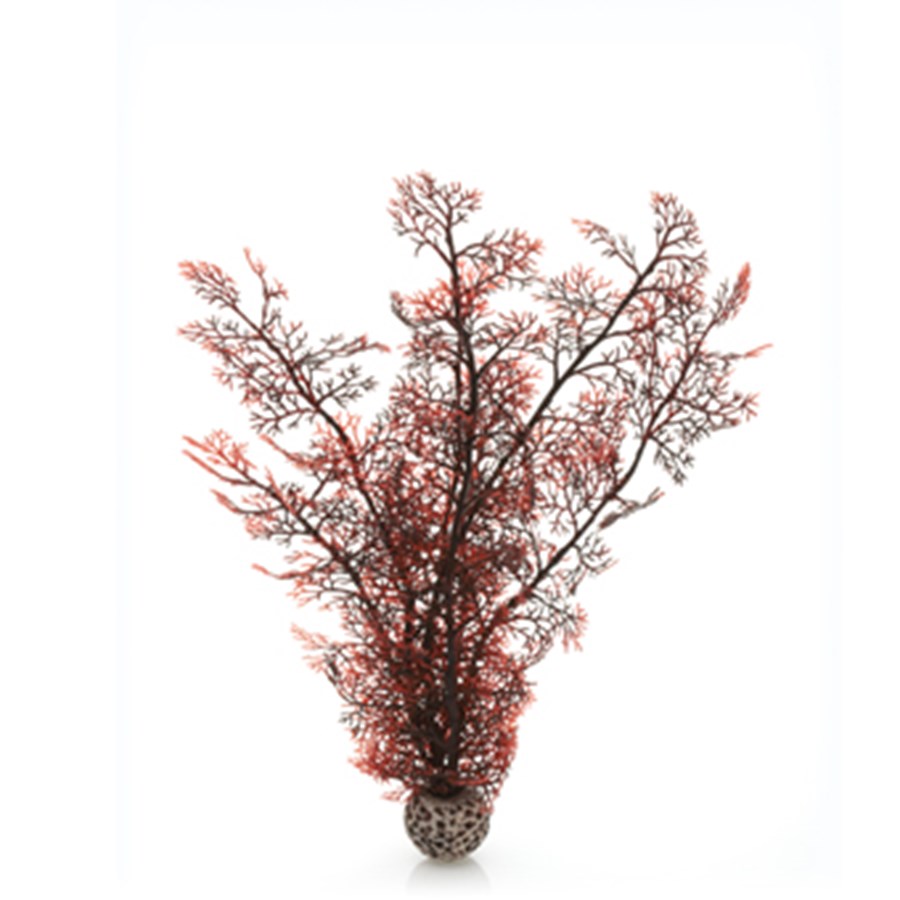 biOrb Petit corail couleurs d'automne