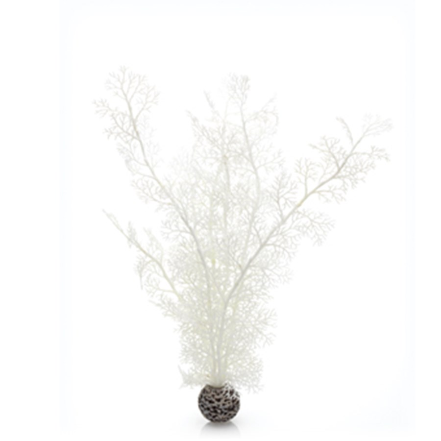 biOrb Grand corail blanc