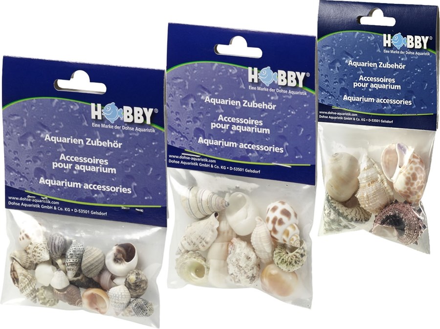 COQUILLES SEA SHELLS SET S (20pc) HOBBY