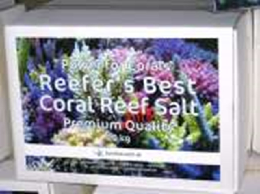 Sel Korallen-Zucht Reefer´s Best Coral Reef 20kg