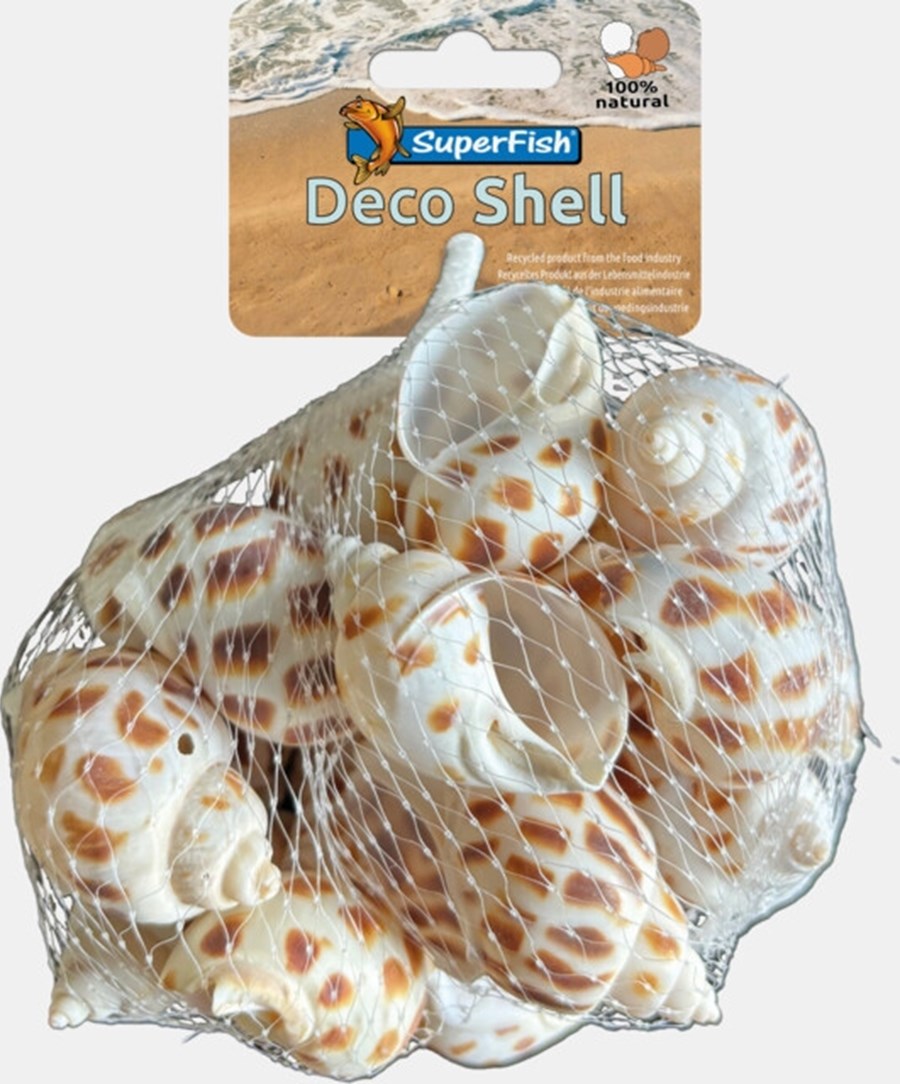 SUPERFISH DECO SNAIL BRUN-BLANC 200 GRAMMES