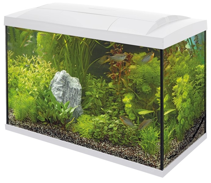 Superfish aquarium quadro 70 pro 144,95 €