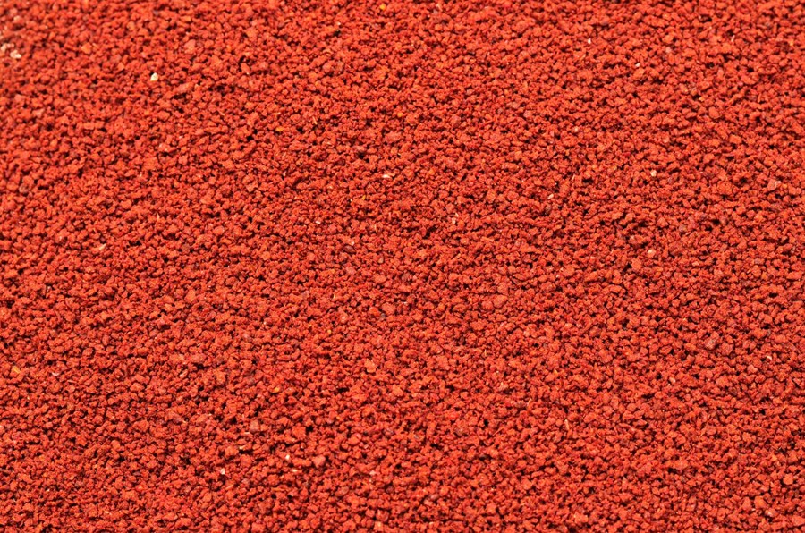 Shrimp King Color