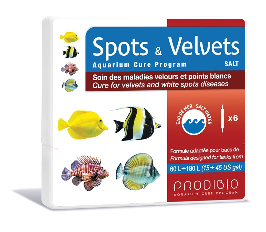 Spots & Velvets Eau de mer 6 ampoules (60 à 180 litres)