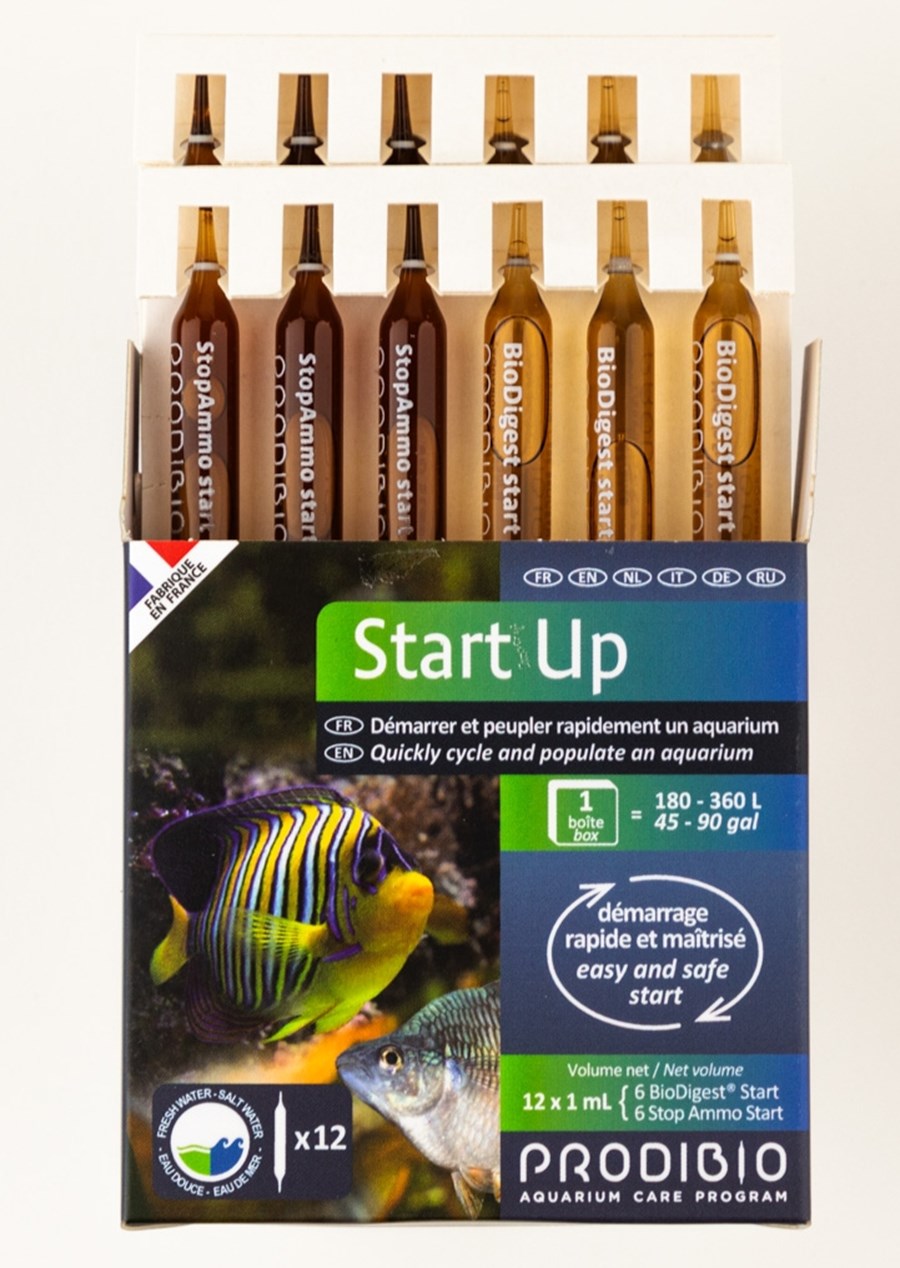 Start Up 12 ampoules