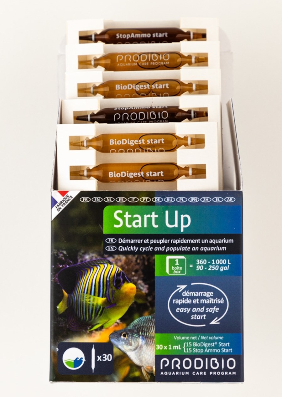 Start Up 30 ampoules